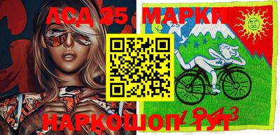 шишки Лесосибирск