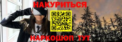 шишки Лесосибирск