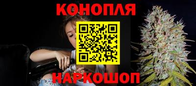 шишки Лесосибирск