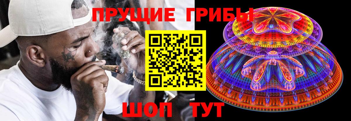 Галлюциногенные грибы Psilocybine cubensis  Псилоцибиновые грибы ЛСД  продажа наркотиков  Тосно  Вход с VPN 